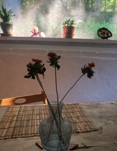 Dried Flowers in a Vase