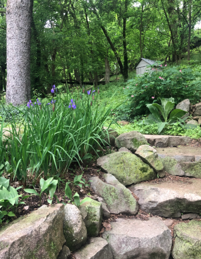 Leah's Home Garden